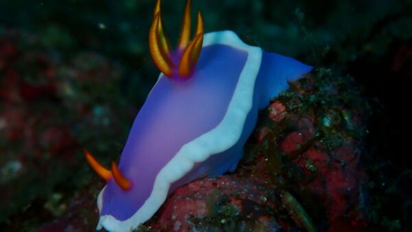 海からのお便り(^^♪