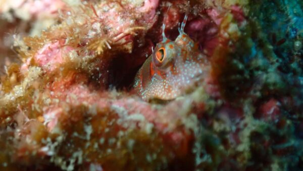 海からのお便り(^^♪