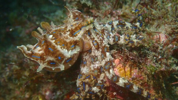 海からのお便り(^^♪