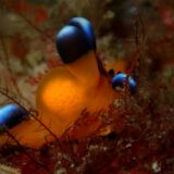 海からのお便り(^^♪