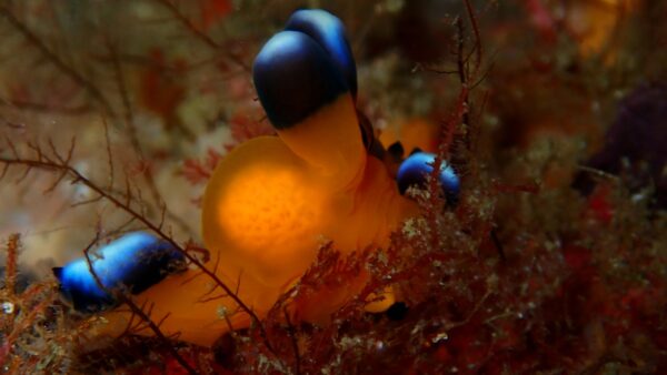 海からのお便り(^^♪