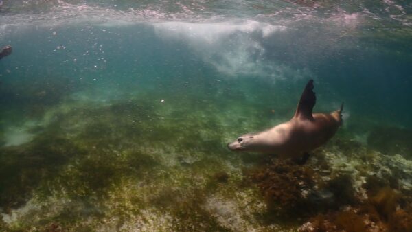海からのお便り(^^♪　（BIG　TOUR編）