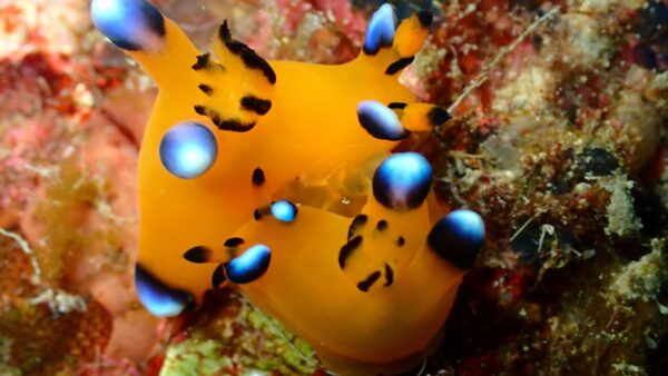 海からのお便り(^^♪