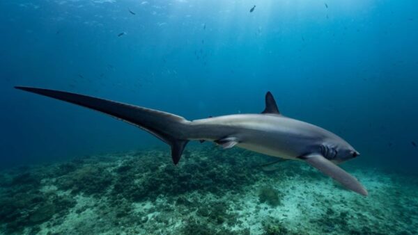 ツアーのご案内(^^♪