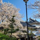 海からのお便り(^^♪