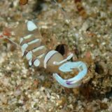 海からのお便り＆お知らせ(^^)/