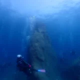 まだまだ暑い日が続きます(^^♪
