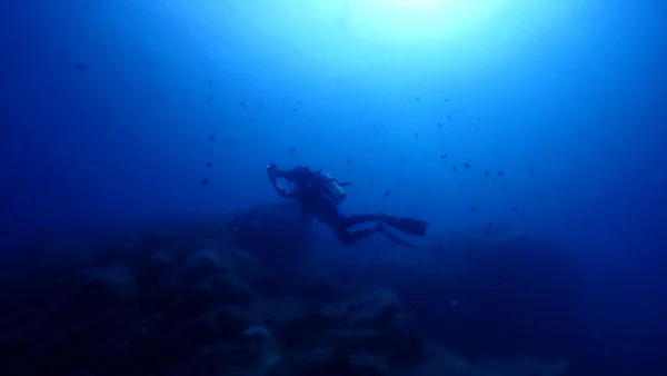 海からのお便り(^^♪