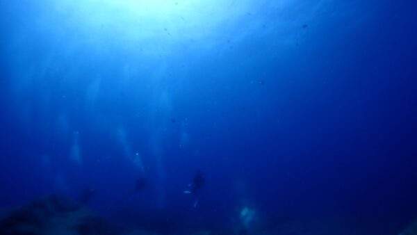 海からのお便り(^^♪（近場編）
