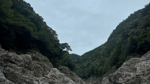 海からのお便り(^^♪